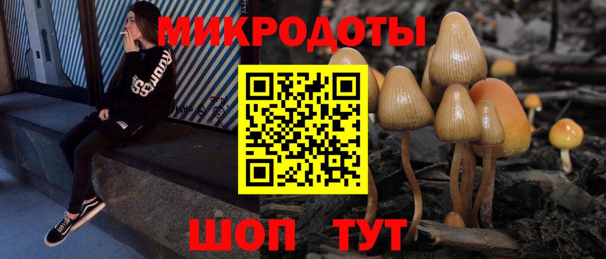 Псилоцибиновые грибы Psilocybe  Вход с VPN  Егорьевск 